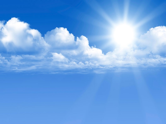 دوجا کت کیس می مور